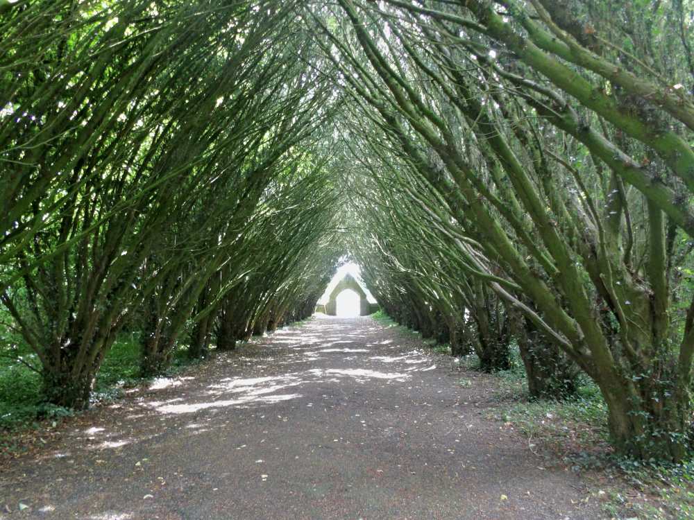 KODAK Digital Still Camera