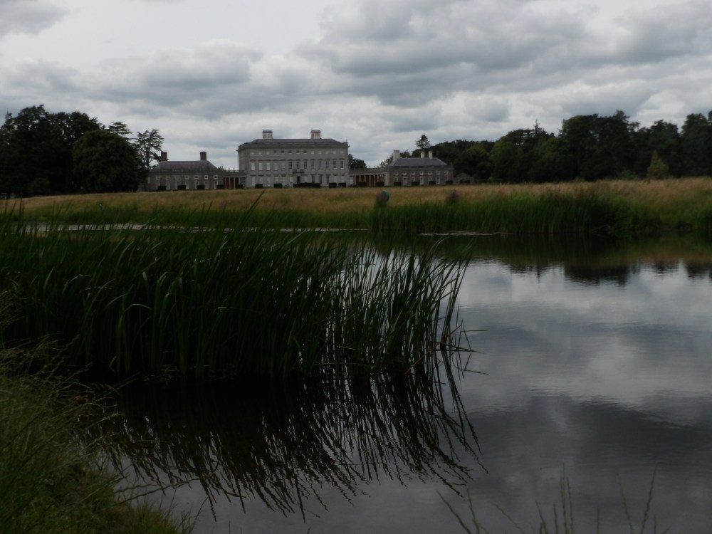 KODAK Digital Still Camera